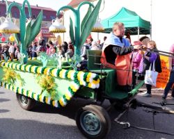 sommergewinn2017_EK_Glockenblumen.jpg
